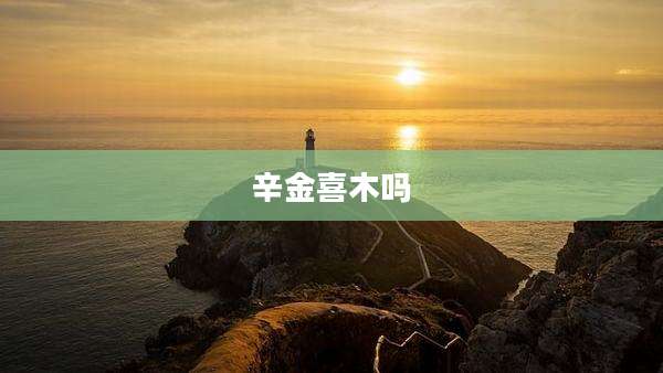 辛金喜木吗
