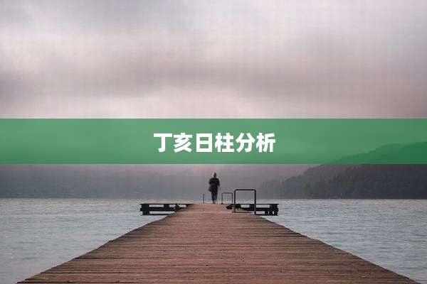 丁亥日柱分析