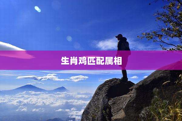 生肖鸡匹配属相