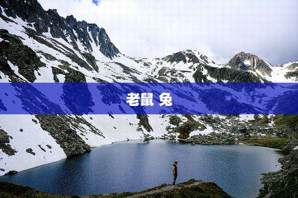 老鼠 兔