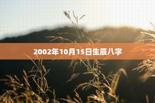 2002年10月15日生辰八字