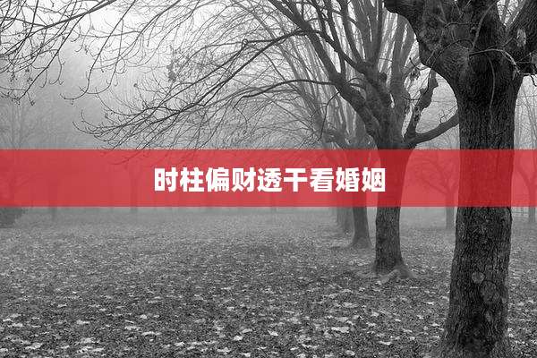 时柱偏财透干看婚姻