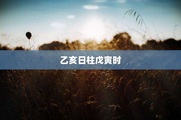 乙亥日柱戊寅时