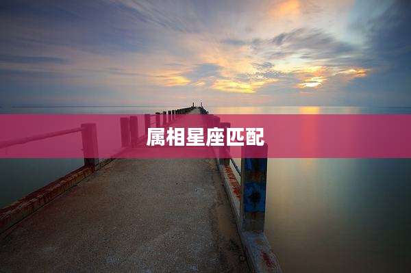 属相星座匹配