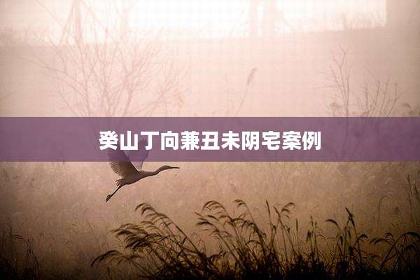 癸山丁向兼丑未阴宅案例