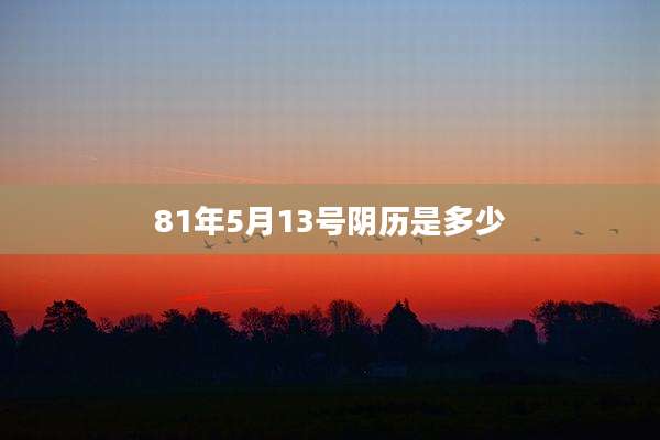 81年5月13号阴历是多少