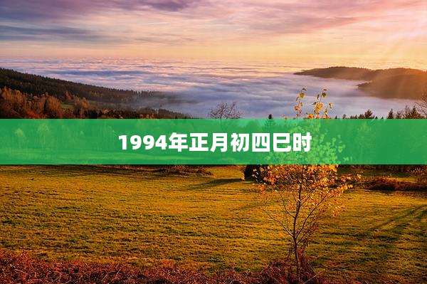 1994年正月初四巳时