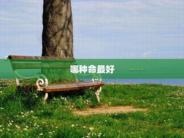 哪种命最好
