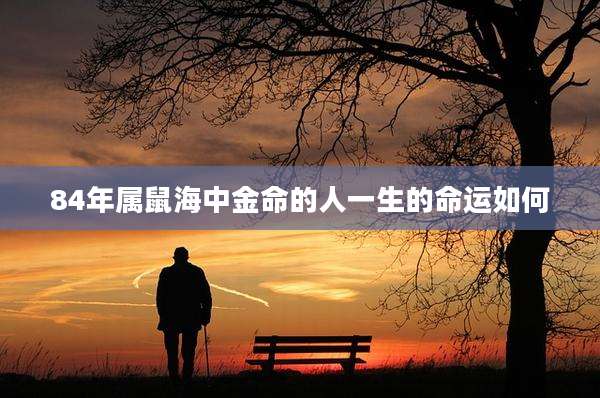 84年属鼠海中金命的人一生的命运如何