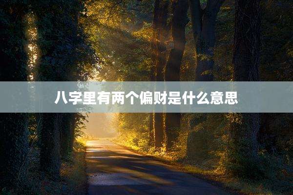 八字里有两个偏财是什么意思