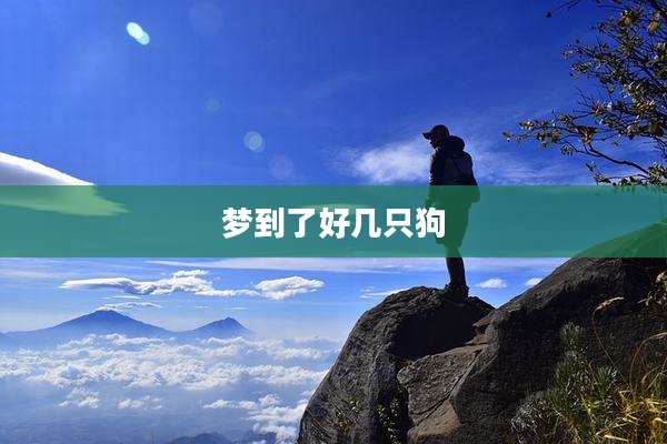 梦到了好几只狗