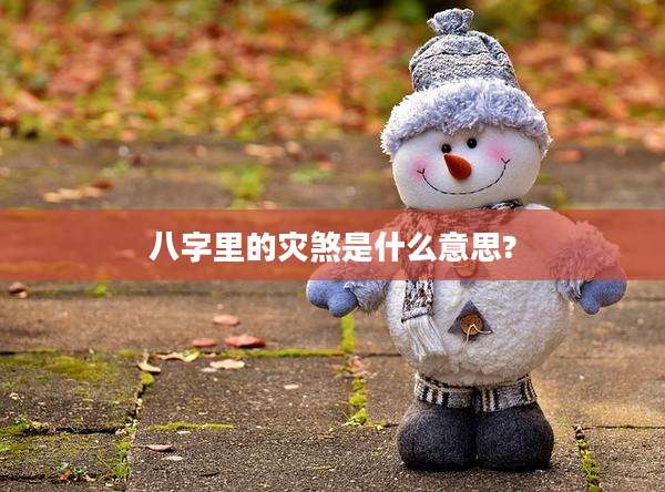 八字里的灾煞是什么意思?