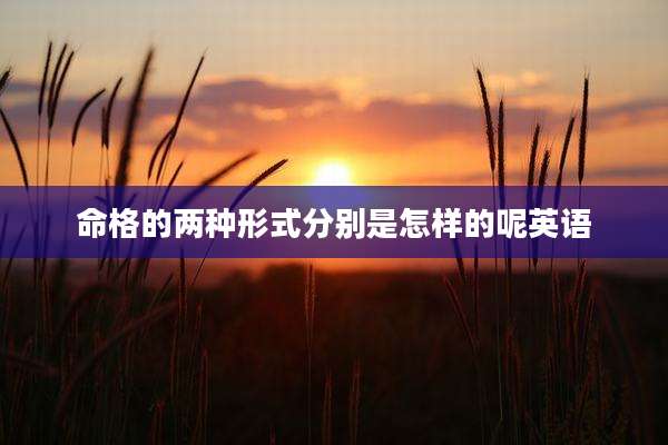 命格的两种形式分别是怎样的呢英语