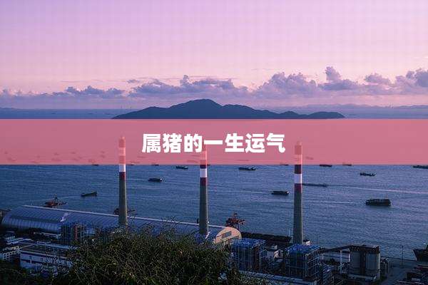 属猪的一生运气