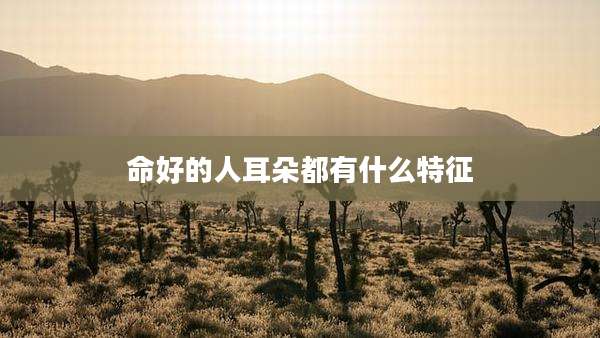 命好的人耳朵都有什么特征