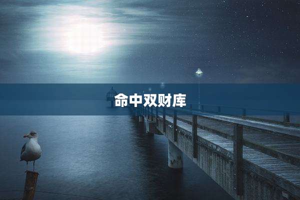 命中双财库
