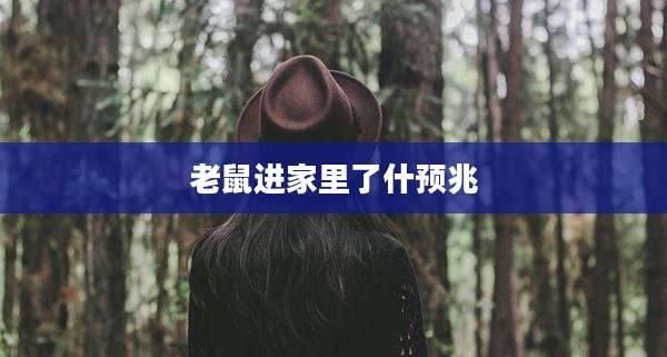 老鼠进家里了什预兆