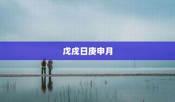 戊戌日庚申月