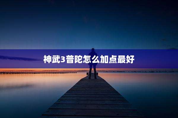 神武3普陀怎么加点最好