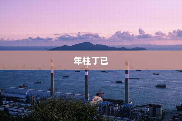 年柱丁已