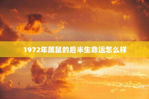 1972年属鼠的后半生命运怎么样