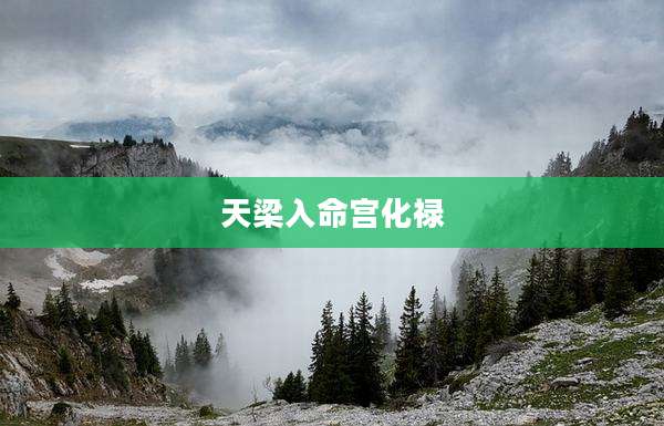 天梁入命宫化禄