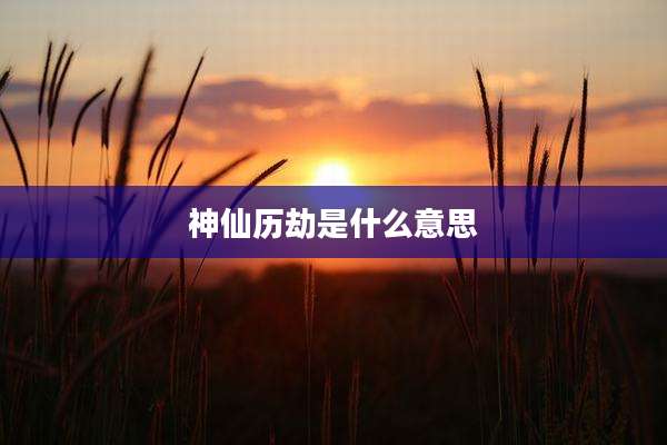 神仙历劫是什么意思