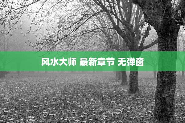 风水大师 最新章节 无弹窗