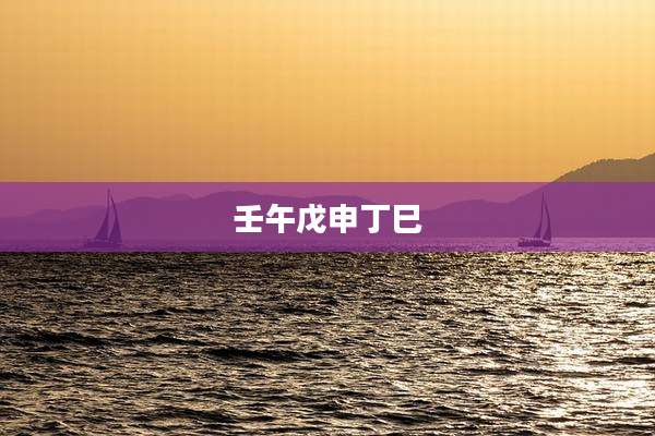 壬午戊申丁巳