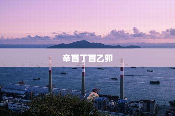 辛酉丁酉乙卯