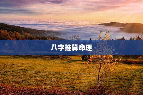 八字推算命理