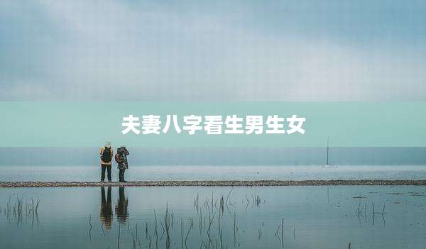夫妻八字看生男生女