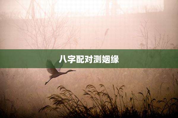 八字配对测姻缘
