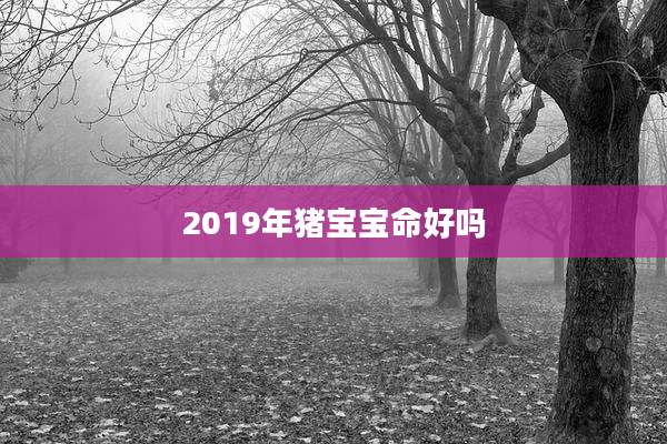 2019年猪宝宝命好吗