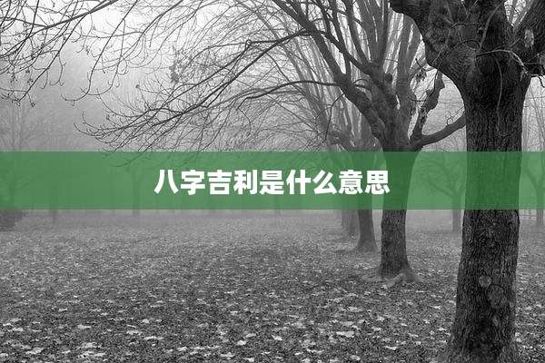八字吉利是什么意思