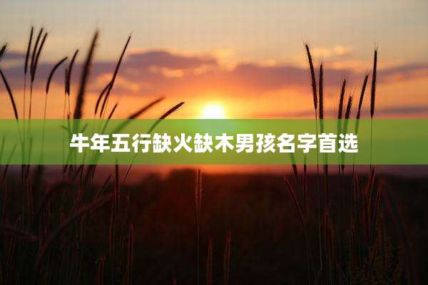 牛年五行缺火缺木男孩名字首选