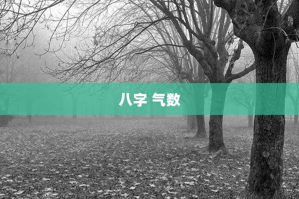八字 气数