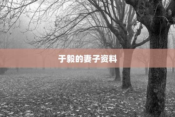 于毅的妻子资料