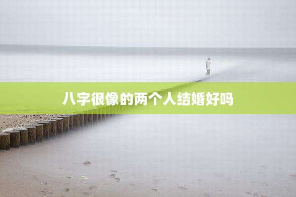 八字很像的两个人结婚好吗