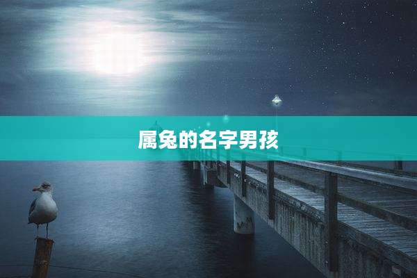 属兔的名字男孩