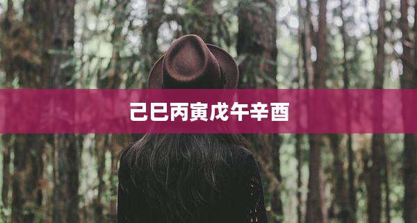己巳丙寅戊午辛酉