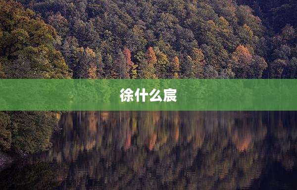 徐什么宸