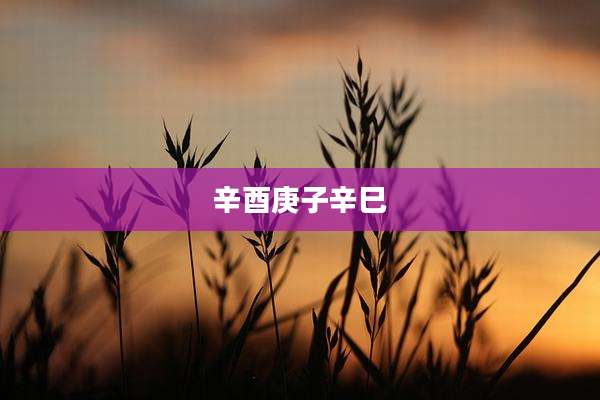 辛酉庚子辛巳
