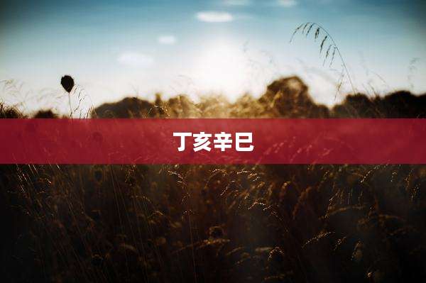 丁亥辛巳