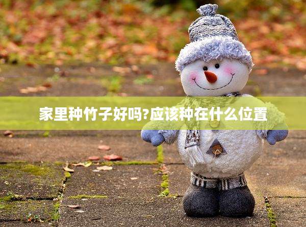 家里种竹子好吗?应该种在什么位置