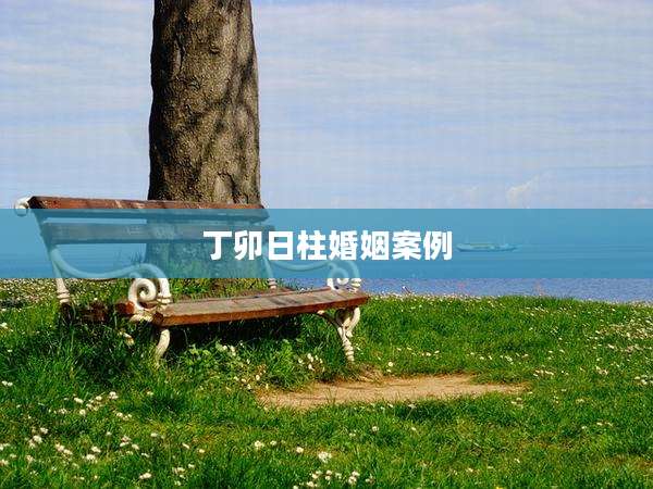 丁卯日柱婚姻案例