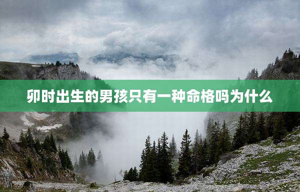 卯时出生的男孩只有一种命格吗为什么
