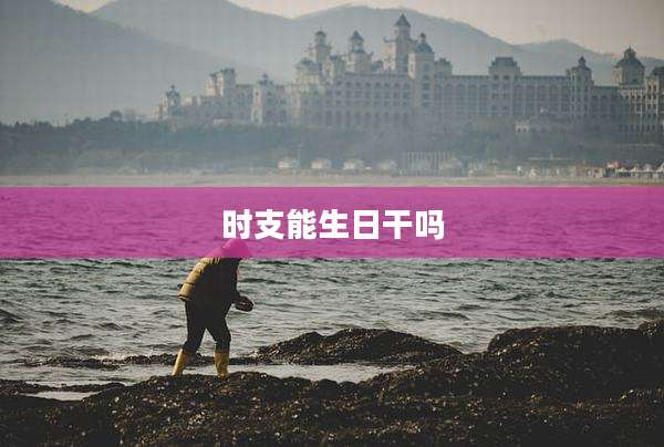 时支能生日干吗