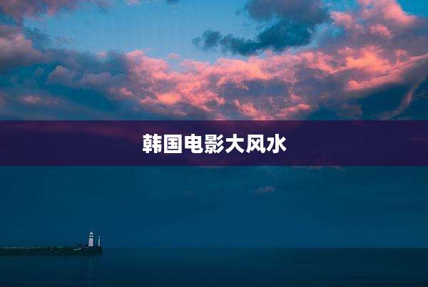 韩国电影大风水