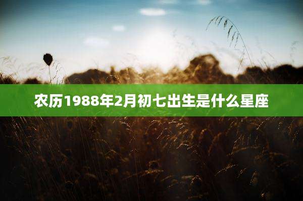 农历1988年2月初七出生是什么星座